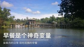 徐志摩死状:头上一个洞,左臂、左腿全部折碎,冰心悼词意味深长